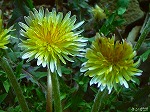 20070322 07.jpg